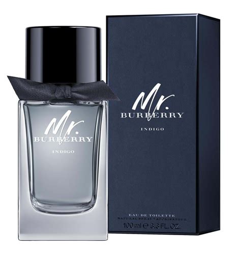 burberry beauty mr burberry eau de parfum|mr burberry indigo 100ml.